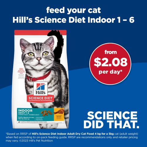 Hills Cat Indoor 2kg My Vet New Zealand s Largest Online Pet Pharmacy
