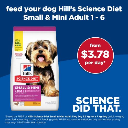 Hill's science diet dog food small and toy breed shop