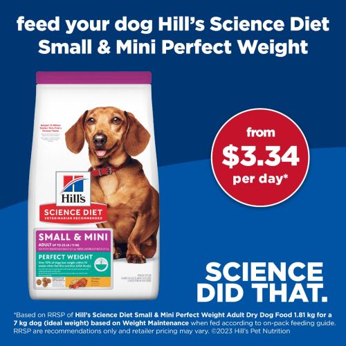 Hills Dog Adult Perfect Weight Small and Mini 1.8kg My Vet New