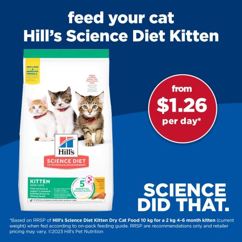 Hills kitten healthy development 2025
