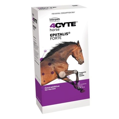 4cyte epiitalis forte deals gel for dogs