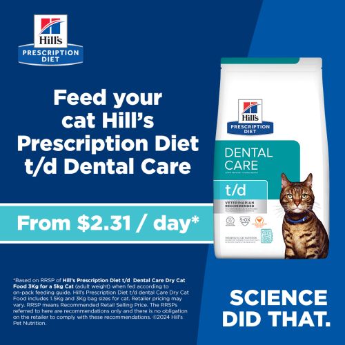 Hills td cat food sale