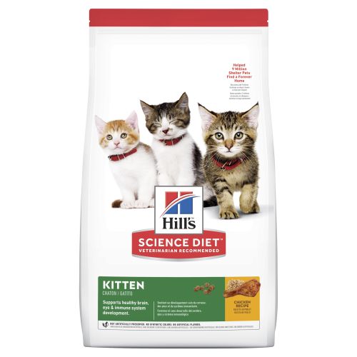Kitten healthy development deals