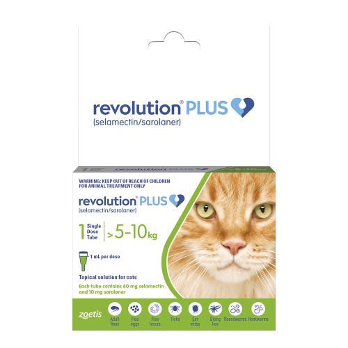 New revolution for hotsell cats