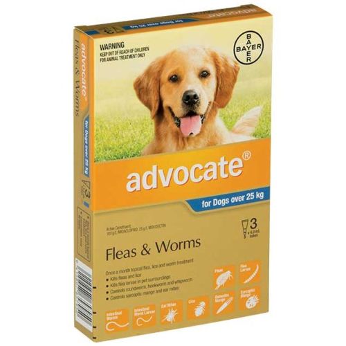 advocate for XL dogs over 25kg My Vet New Zealand s Largest