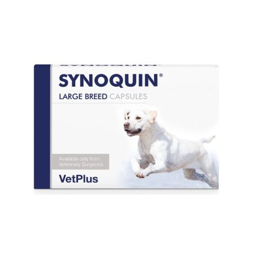 Synoquin for on sale cats