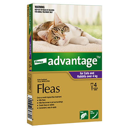 Advantage 4kg online