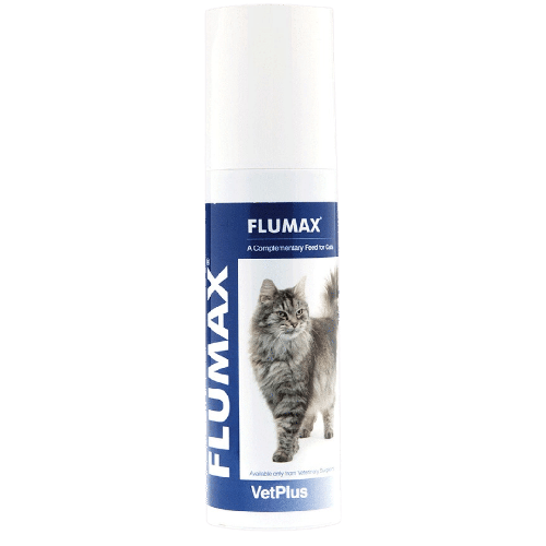 Cheap cat vet online