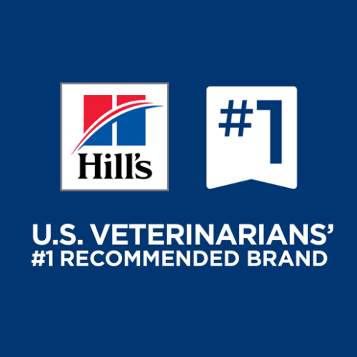 Hills prescription diet zd cat food shop