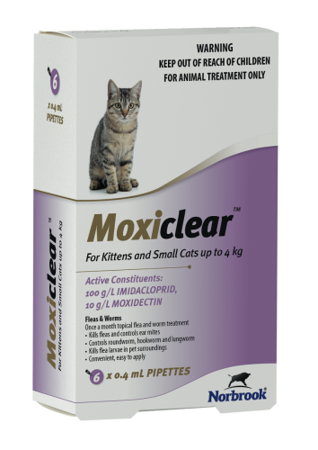Flea medicine for kittens under 6 weeks outlet