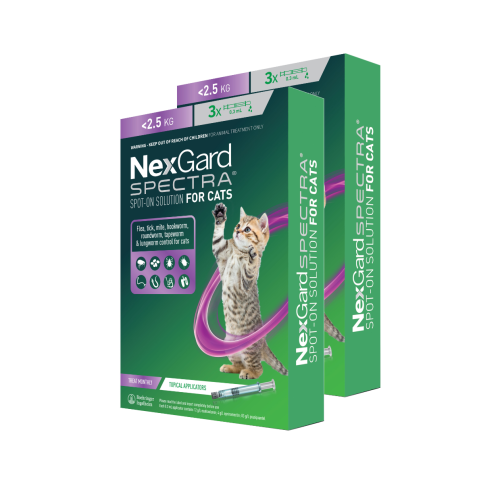 Nexgard spot on shop