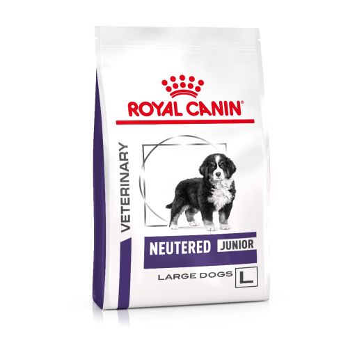Mature large dog royal canin shop