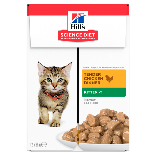 hills cat food kitten