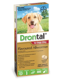 Cheapest drontal online for dogs