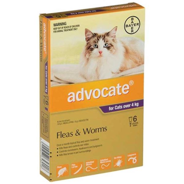 ADVOCATE Cat Large >4kg 6-Pack