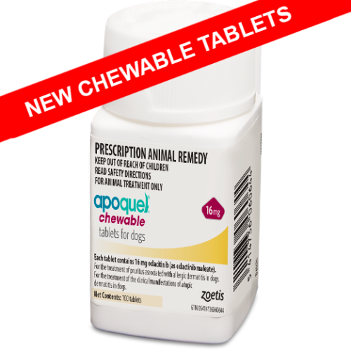 Apoquel hot sale in cats