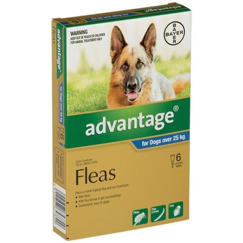 6 month flea treatment for dogs shop