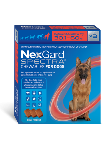 nexgard spectra Xtra large dog 3 pack My Vet New Zealand s Largest Online Pet Pharmacy