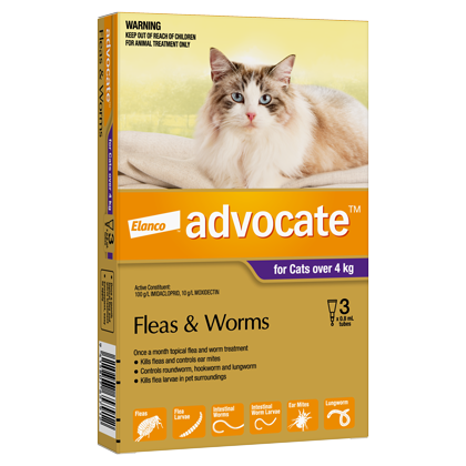 Advantage flea and worm treatment for cats 2025