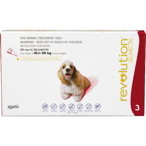 Order revolution cheap for dogs online