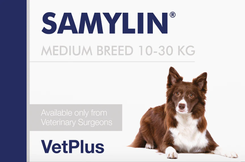 Samylin tablets shop for medium dogs