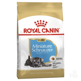 Royal Canin Junior Miniature Schnauzer 1.5kg