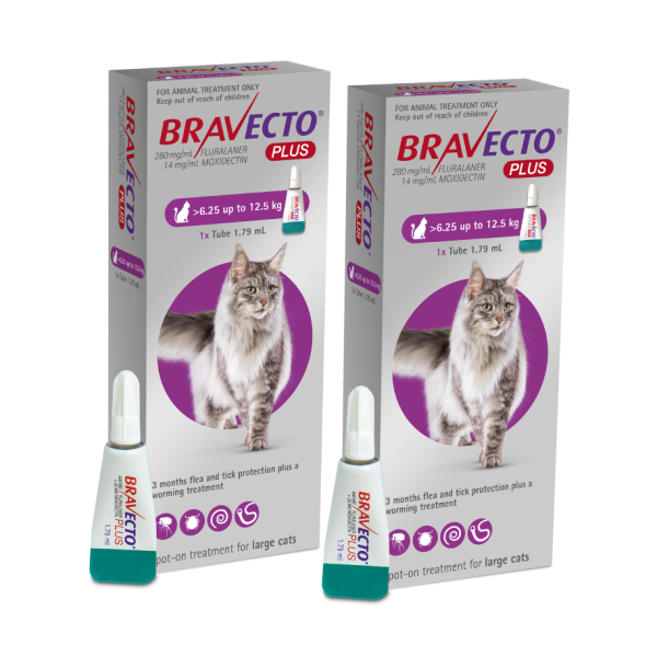 Bravecto PLUS Flea,Tick & Worm Spot-On for Cats Large (6.25-12.5kg) | DOUBLE PACK BUNDLE