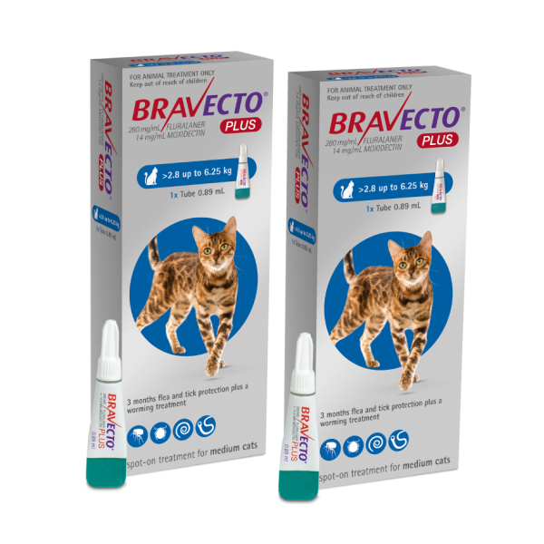 Bravecto PLUS Flea, Tick & Worm Spot-On for Cats Medium (2.8kg- 6.25kg) | DOUBLE PACK BUNDLE 