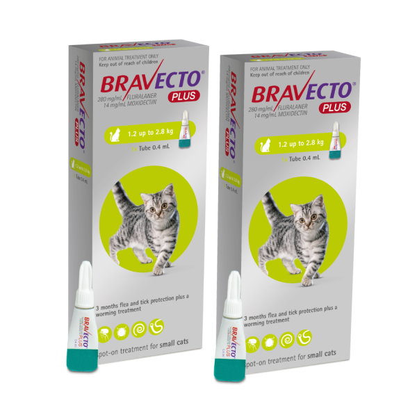 Bravecto PLUS Flea,Tick & Worm Spot-On for Cats Small (1.2 - 2.8kg) | DOUBLE PACK BUNDLE