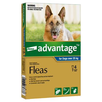 Advantage X/Large Dogs >25kg 4-Pack