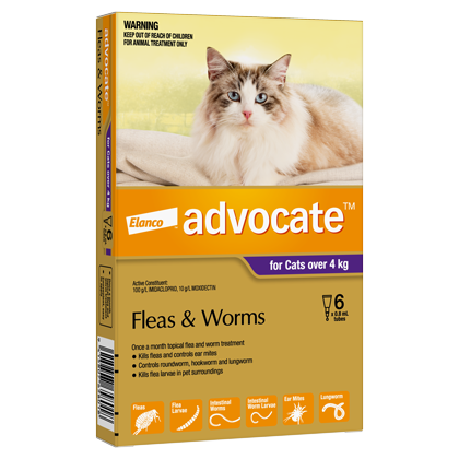 ADVOCATE Cat Large >4kg 6-Pack