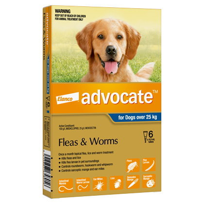 ADVOCATE X/Large Dogs >25kg 6-Pack
