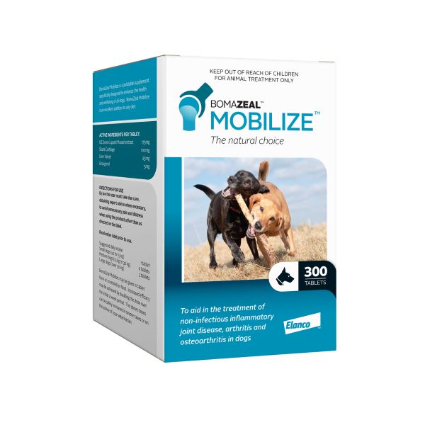 BomaZeal MOBILIZE size 300 tablets