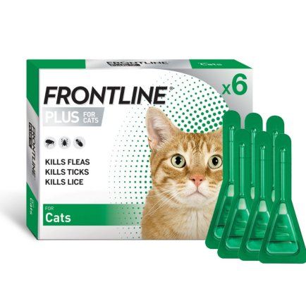 Frontline Plus for Cats - 6 pack ( exp end 10/25 )