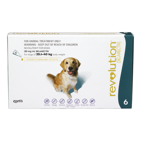 Revolution for Large Dogs 20-40kg - 6 pack  