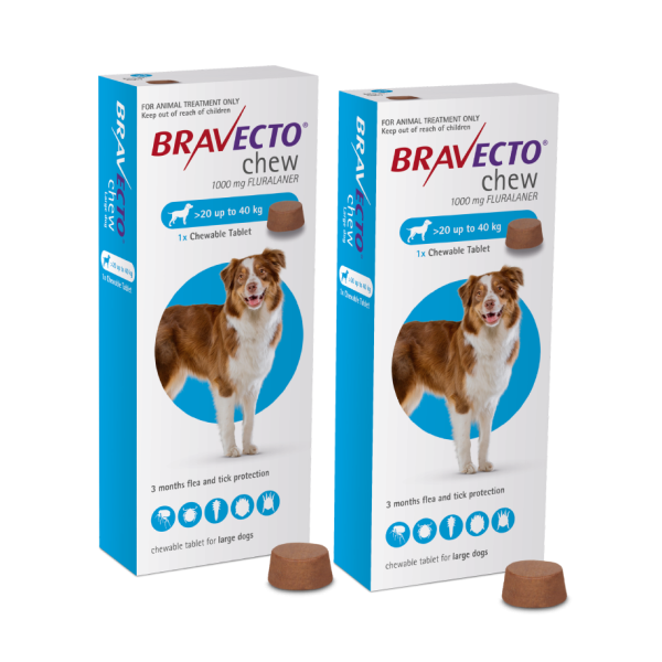 Bravecto 1000mg Chewable Tablet for Large Dogs  20-40kg  | DOUBLE PACK BUNDLE