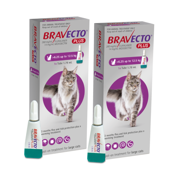  Bravecto PLUS Flea,Tick & Worm Spot-On for Cats Large (6.25-12.5kg) | DOUBLE PACK BUNDLE