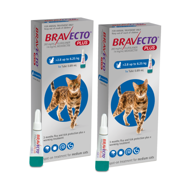  Bravecto PLUS Flea, Tick & Worm Spot-On for Cats Medium (2.8kg- 6.25kg) | DOUBLE PACK BUNDLE ( exp end 11/24 )