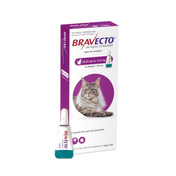 Bravecto Spot On for Cats Large  >6.25-12.5 kg 