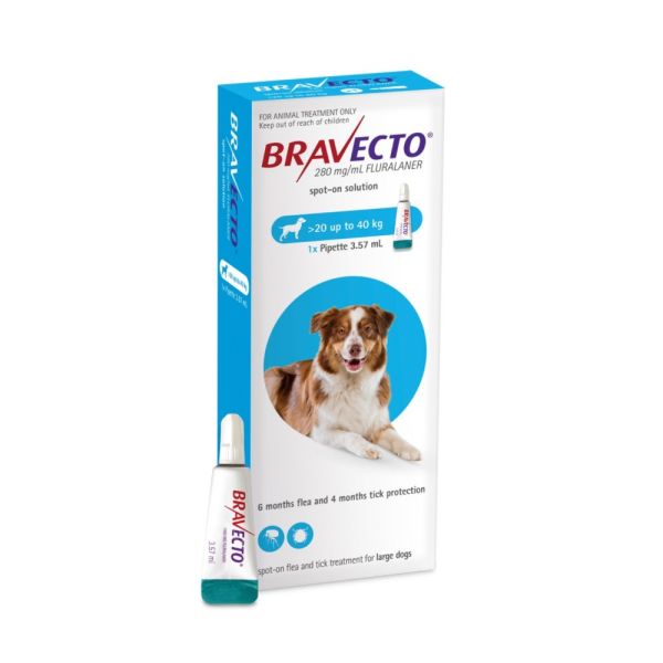 Bravecto  SPOT ON  solution for large dogs (20-40kg) Blue