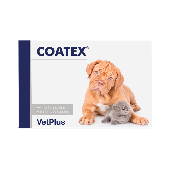 Coatex Capsules Pack of 60
