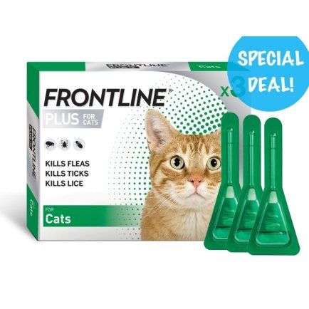 Frontline Plus for Cats - 3 x 3 pack Bulk Deal 