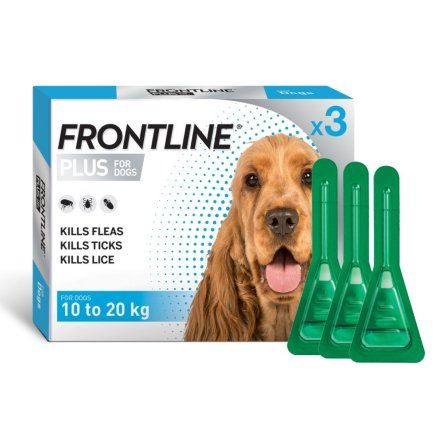 Best price frontline for dogs top