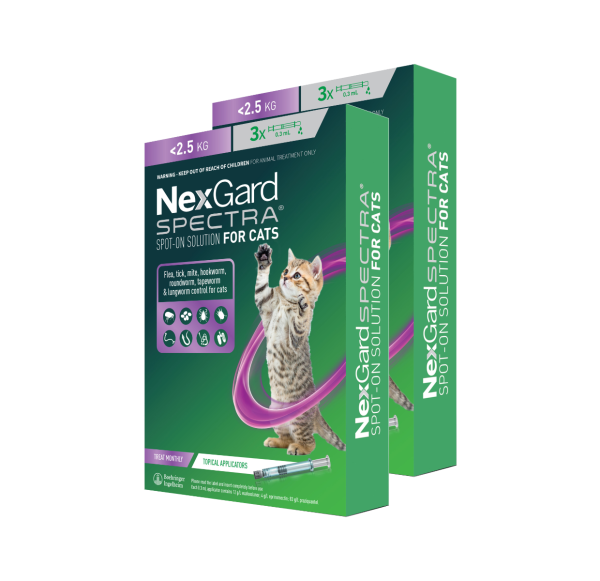 Nexgard Spectra for SMALL Cats 0.8 2.4kg 3 pack Double Pack