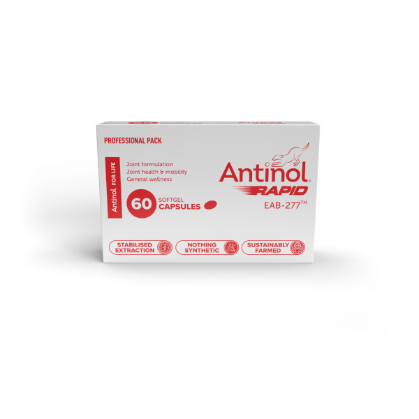 Antinol Rapid for DOGS Pack of 60 Capsules