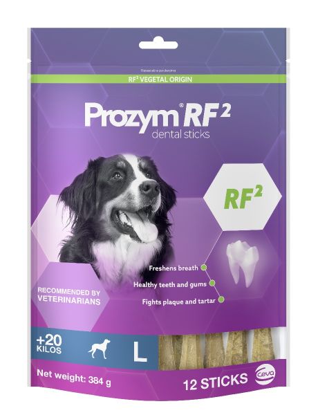 Prozym Dental Stick Large Dog Treats 384g