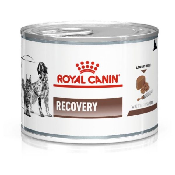 Royal Canin Recovery Cat/Dog Can 195g x 12  