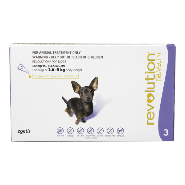 Revolution for XS Dogs 2.5-5kg - 4 x 3 pack with FREE 3 Pack 