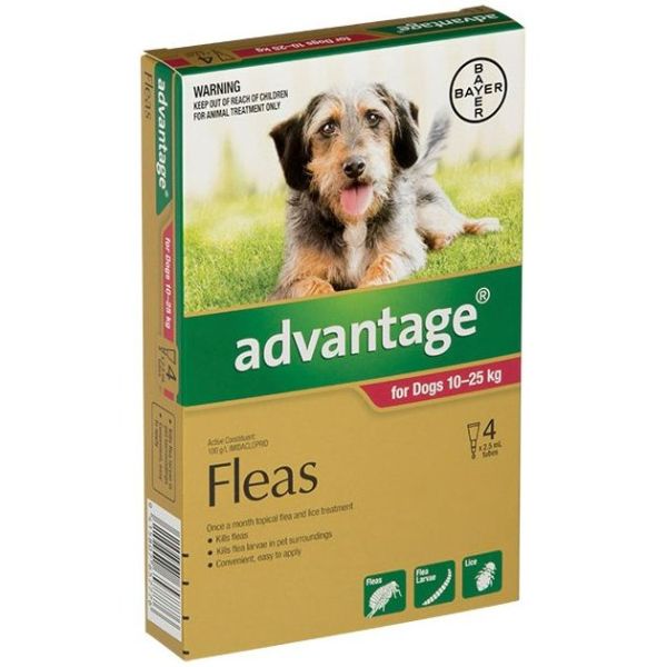 Advantage Large Dog 10-25kg 4-Pack