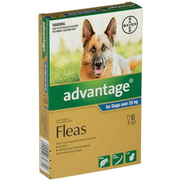 Advantage X/Large Dogs >25kg 6-Pack